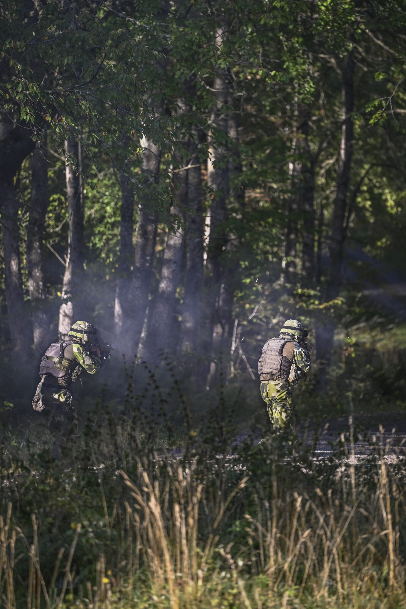 Swedish Armed Forces soldiers training in woodland