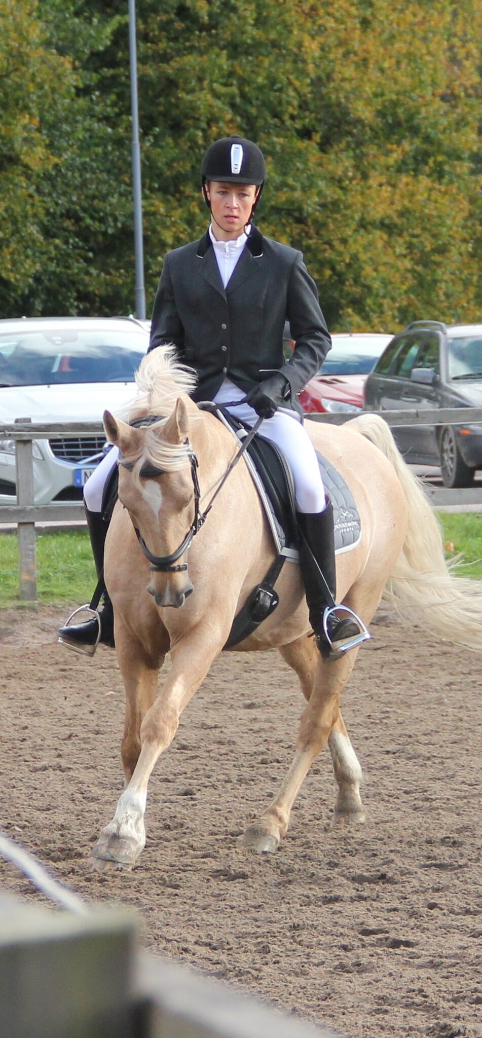 Christian Hartmann competing in dressage